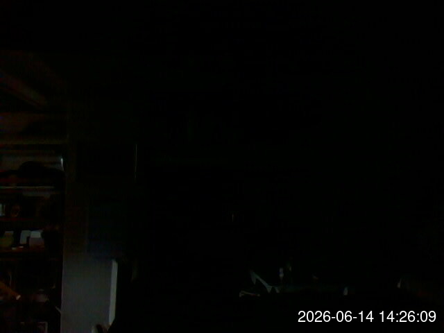 Live Stream