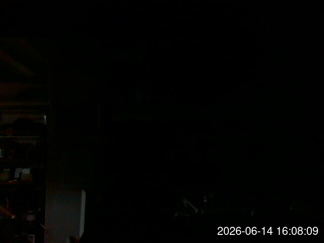 Live Stream